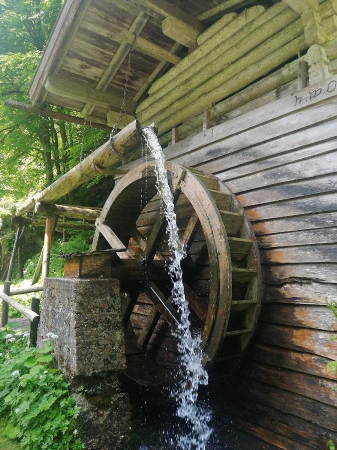 Ferienhaus Krallinger Abtenau Exterior foto