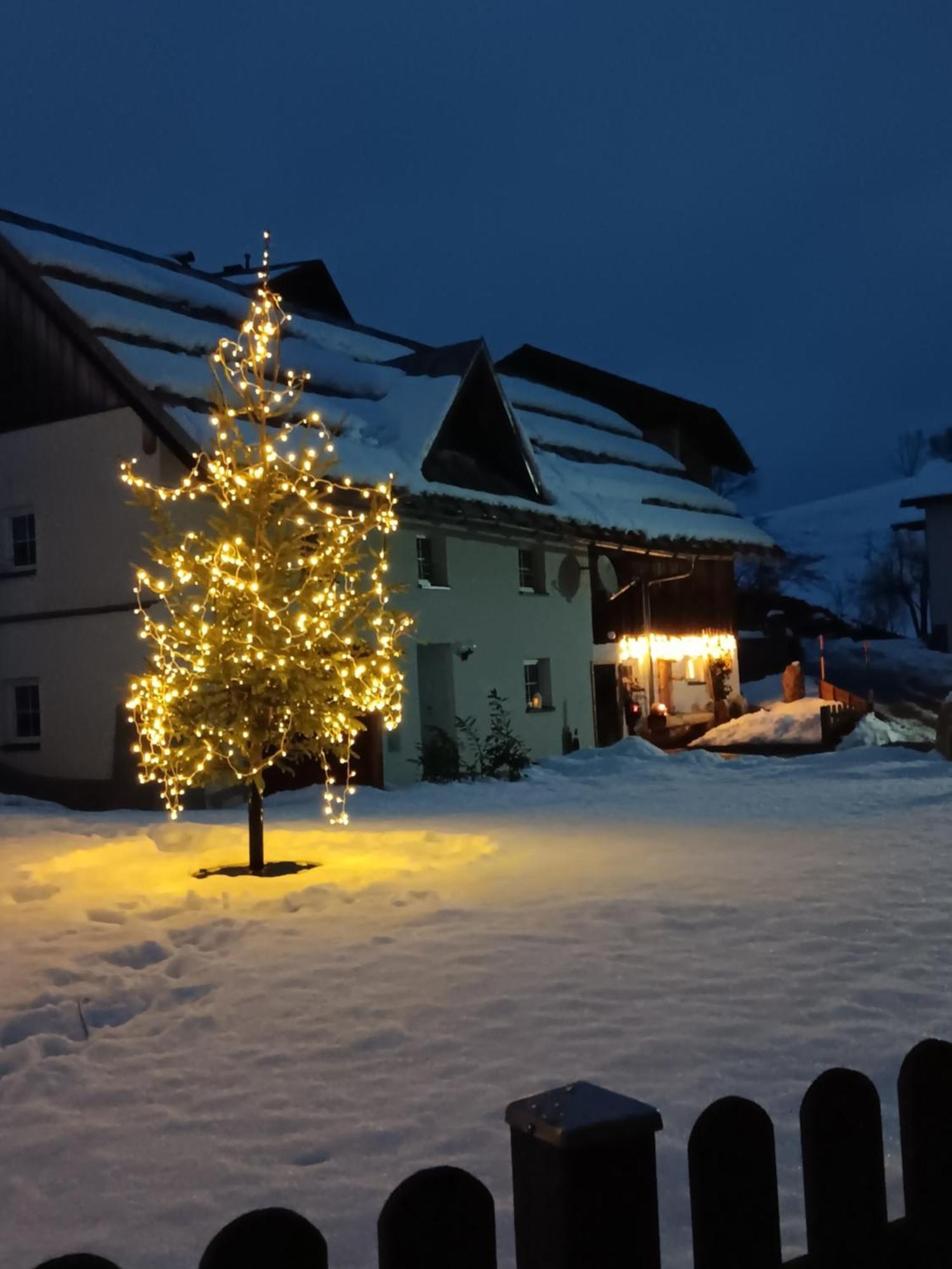 Ferienhaus Krallinger Abtenau Exterior foto